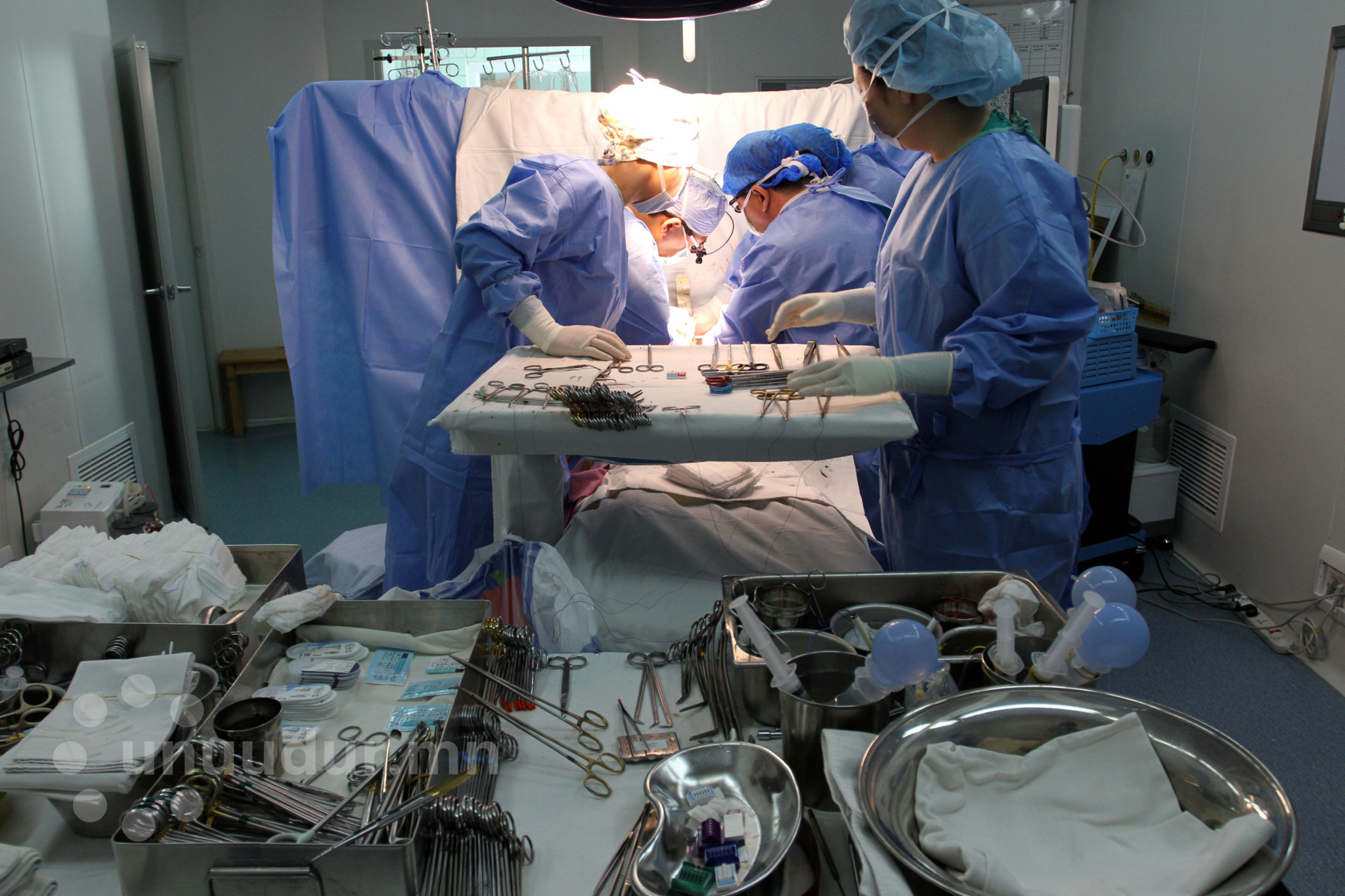  Амьгүй донороос эрхтэн шилжүүлэх эмчилгээ бүрмөсөн зогслоо